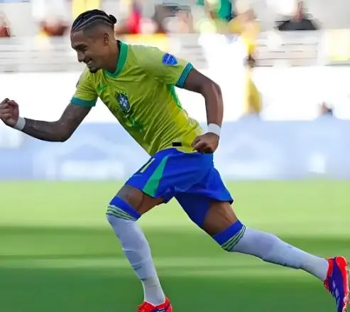 笔重量级引, msn, alt 笔重量级引, msn, alt